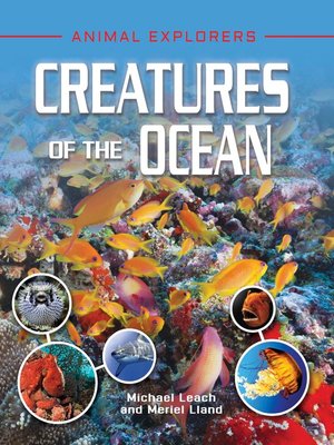cover image of Creatures of the Ocean
